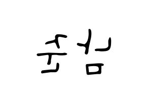 KPOP idol BTS  RM (Kim Nam-jun, RM) Printable Hangul name fan sign, fanboard resources for LED Reversed