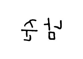 KPOP idol BTS  RM (Kim Nam-jun, RM) Printable Hangul name fan sign, fanboard resources for concert Reversed