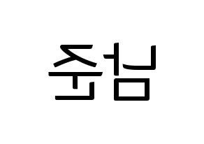 KPOP idol BTS  RM (Kim Nam-jun, RM) Printable Hangul name fan sign, fanboard resources for light sticks Reversed