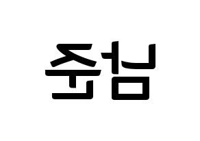 KPOP idol BTS  RM (Kim Nam-jun, RM) Printable Hangul name fan sign, fanboard resources for concert Reversed