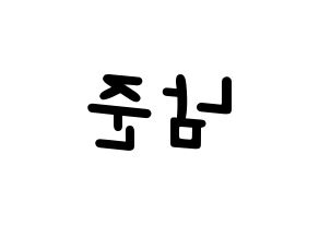 KPOP idol BTS  RM (Kim Nam-jun, RM) Printable Hangul name fan sign, fanboard resources for light sticks Reversed