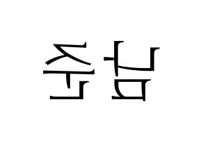 KPOP idol BTS  RM (Kim Nam-jun, RM) Printable Hangul name fan sign & fan board resources Reversed