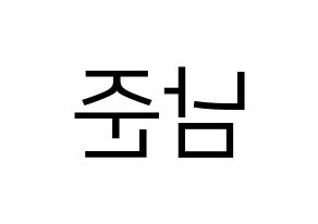 KPOP idol BTS  RM (Kim Nam-jun, RM) Printable Hangul name fan sign, fanboard resources for LED Reversed