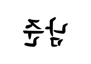 KPOP idol BTS  RM (Kim Nam-jun, RM) Printable Hangul name fan sign, fanboard resources for concert Reversed
