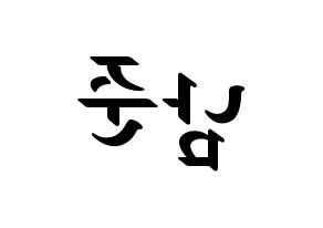 KPOP idol BTS  RM (Kim Nam-jun, RM) Printable Hangul name fan sign, fanboard resources for LED Reversed