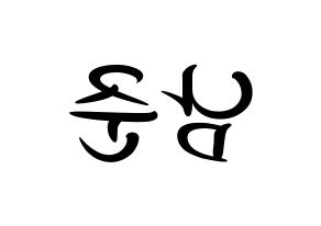 KPOP idol BTS  RM (Kim Nam-jun, RM) Printable Hangul name fan sign, fanboard resources for concert Reversed