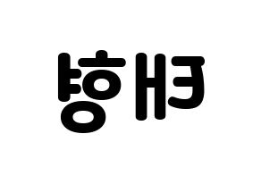 KPOP idol BTS  뷔 (Kim Tae-hyung, V) Printable Hangul name fan sign & fan board resources Reversed