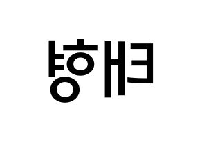 KPOP idol BTS  뷔 (Kim Tae-hyung, V) Printable Hangul name Fansign Fanboard resources for concert Reversed
