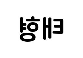 KPOP idol BTS  뷔 (Kim Tae-hyung, V) Printable Hangul name fan sign, fanboard resources for concert Reversed