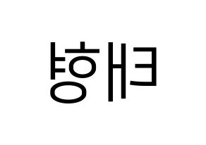 KPOP idol BTS  뷔 (Kim Tae-hyung, V) Printable Hangul name fan sign, fanboard resources for LED Reversed