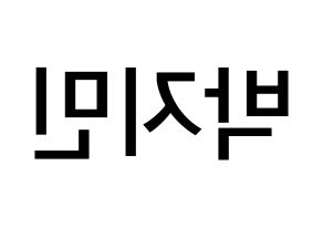 KPOP idol BTS  지민 (Park Ji-min, JIMIN) Printable Hangul name Fansign Fanboard resources for concert Reversed