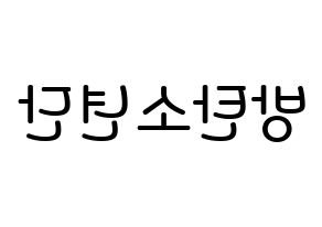 KPOP idol BTS Printable Hangul Fansign Fanboard resources Reversed