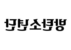 KPOP idol BTS Printable Hangul fan sign, fanboard resources for light sticks Reversed