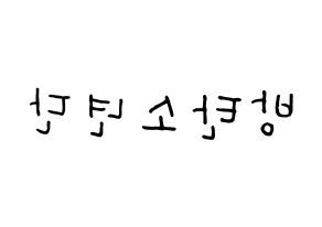 KPOP idol BTS Printable Hangul fan sign, concert board resources for light sticks Reversed