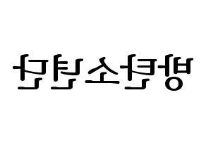KPOP idol BTS Printable Hangul fan sign, fanboard resources for LED Reversed