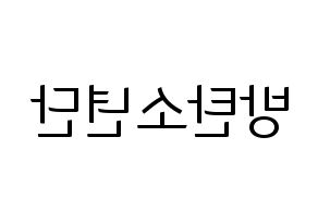 KPOP idol BTS Printable Hangul fan sign, fanboard resources for light sticks Reversed