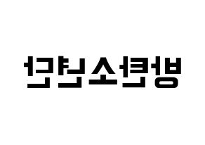KPOP idol BTS Printable Hangul fan sign & fan board resources Reversed