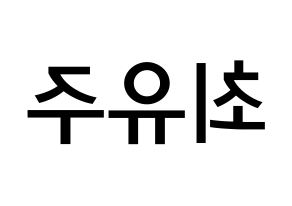 KPOP idol Cherry Bullet  유주 (Choi Yu-ju, Yu Ju) Printable Hangul name Fansign Fanboard resources for concert Reversed