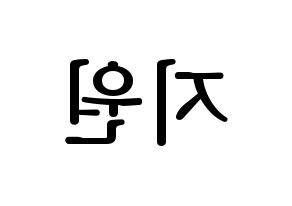 KPOP idol Cherry Bullet  지원 (Heo Ji-won, Ji Won) Printable Hangul name fan sign, fanboard resources for LED Reversed