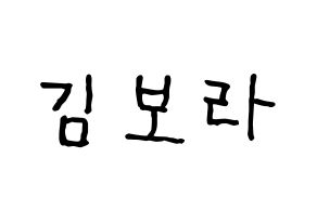 KPOP idol Cherry Bullet  보라 (Kim Bo-ra, Bo Ra) Printable Hangul name fan sign, fanboard resources for concert Normal