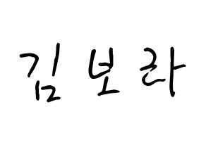 KPOP idol Cherry Bullet  보라 (Kim Bo-ra, Bo Ra) Printable Hangul name fan sign, fanboard resources for concert Normal