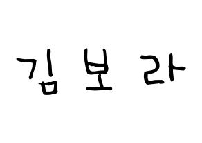 KPOP idol Cherry Bullet  보라 (Kim Bo-ra, Bo Ra) Printable Hangul name Fansign Fanboard resources for concert Normal
