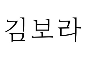 KPOP idol Cherry Bullet  보라 (Kim Bo-ra, Bo Ra) Printable Hangul name fan sign & fan board resources Normal