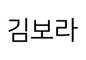KPOP idol Cherry Bullet  보라 (Kim Bo-ra, Bo Ra) Printable Hangul name fan sign, fanboard resources for LED Normal