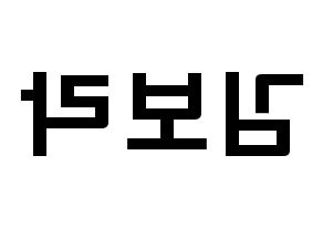 KPOP idol Cherry Bullet  보라 (Kim Bo-ra, Bo Ra) Printable Hangul name fan sign & fan board resources Reversed