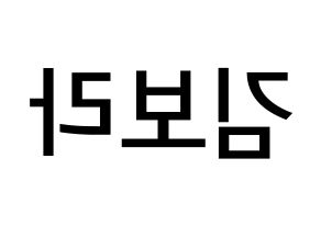 KPOP idol Cherry Bullet  보라 (Kim Bo-ra, Bo Ra) Printable Hangul name Fansign Fanboard resources for concert Reversed