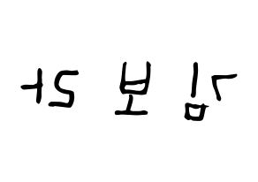 KPOP idol Cherry Bullet  보라 (Kim Bo-ra, Bo Ra) Printable Hangul name Fansign Fanboard resources for concert Reversed