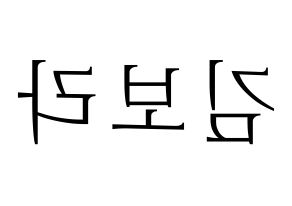 KPOP idol Cherry Bullet  보라 (Kim Bo-ra, Bo Ra) Printable Hangul name fan sign & fan board resources Reversed