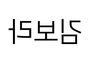 KPOP idol Cherry Bullet  보라 (Kim Bo-ra, Bo Ra) Printable Hangul name fan sign, fanboard resources for LED Reversed