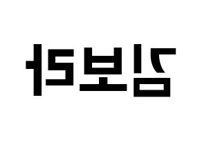 KPOP idol Cherry Bullet  보라 (Kim Bo-ra, Bo Ra) Printable Hangul name fan sign, fanboard resources for concert Reversed