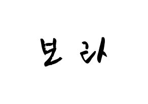 KPOP idol Cherry Bullet  보라 (Kim Bo-ra, Bo Ra) Printable Hangul name fan sign & fan board resources Normal
