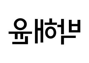 KPOP idol Cherry Bullet  해윤 (Park Hae-yoon, Hae Yoon) Printable Hangul name Fansign Fanboard resources for concert Reversed