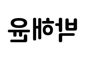 KPOP idol Cherry Bullet  해윤 (Park Hae-yoon, Hae Yoon) Printable Hangul name fan sign, fanboard resources for concert Reversed