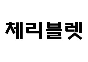 KPOP idol Cherry Bullet Printable Hangul fan sign & concert board resources Normal