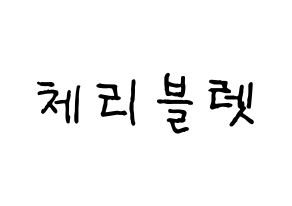 KPOP idol Cherry Bullet Printable Hangul fan sign & fan board resources Normal