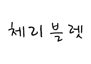 KPOP idol Cherry Bullet Printable Hangul fan sign, concert board resources for light sticks Normal