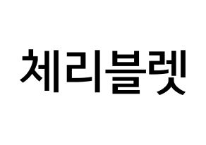 KPOP idol Cherry Bullet Printable Hangul Fansign Fanboard resources Normal