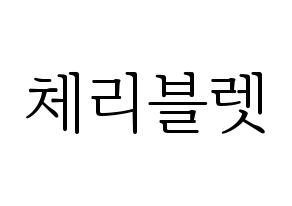 KPOP idol Cherry Bullet Printable Hangul fan sign & concert board resources Normal