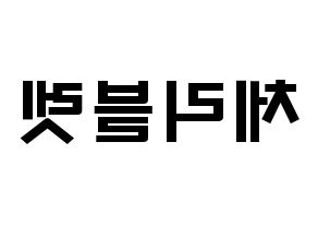 KPOP idol Cherry Bullet Printable Hangul fan sign & concert board resources Reversed