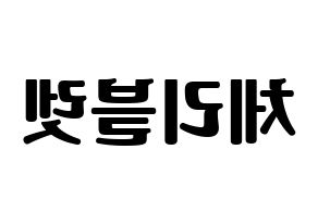 KPOP idol Cherry Bullet Printable Hangul fan sign, fanboard resources for light sticks Reversed