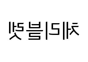 KPOP idol Cherry Bullet Printable Hangul fan sign, fanboard resources for light sticks Reversed