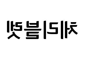 KPOP idol Cherry Bullet Printable Hangul fan sign & fan board resources Reversed