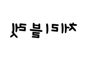 KPOP idol Cherry Bullet Printable Hangul Fansign concert board resources Reversed