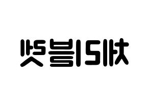 KPOP idol Cherry Bullet Printable Hangul fan sign & concert board resources Reversed