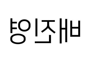 KPOP idol CIX  배진영 (Bae Jin-young, Jinyoung) Printable Hangul name fan sign, fanboard resources for LED Reversed