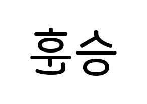 KPOP idol CIX  김승훈 (Kim Seung-hun, Seunghun) Printable Hangul name Fansign Fanboard resources for concert Reversed